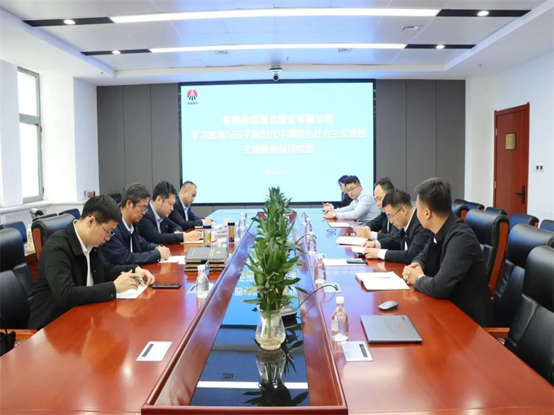 公司開展學(xué)習(xí)貫徹習(xí)近平新時(shí)代中國特色社會(huì)主義思想主題教育督導(dǎo)檢查.jpg